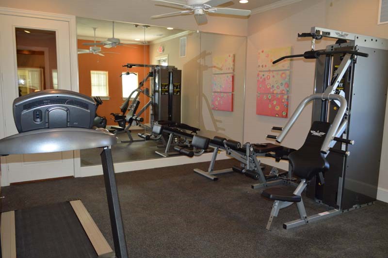 Stoneleaf_at_Eustace-28